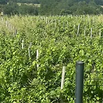 Maison Avec Piscine Chauffee & - Pres De Bordeaux Et Des Vignobles Villa