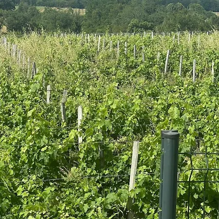 Maison Avec Piscine Chauffee & - Pres De Bordeaux Et Des Vignobles Vila