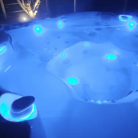 Maison Avec Piscine Chauffee & - Pres De Bordeaux Et Des Vignobles * Salignac (Gironde)