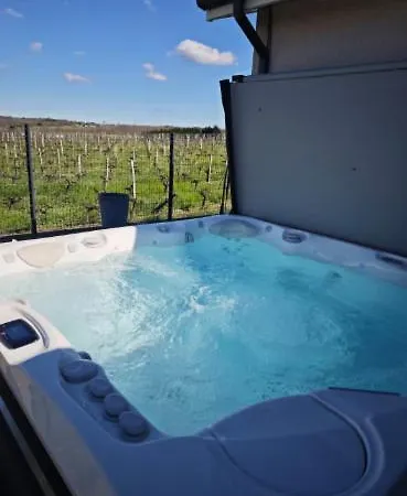 Maison Avec Piscine Chauffee & - Pres De Bordeaux Et Des Vignobles *